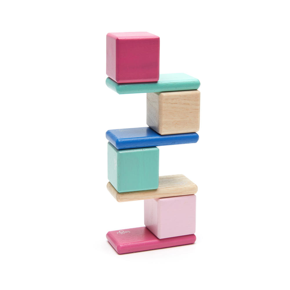 Tegu  magnetic blocks - 8 piece Pocket Pouch in Blossom