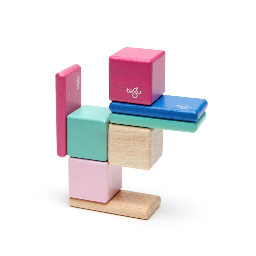 Tegu  magnetic blocks - 8 piece Pocket Pouch in Blossom