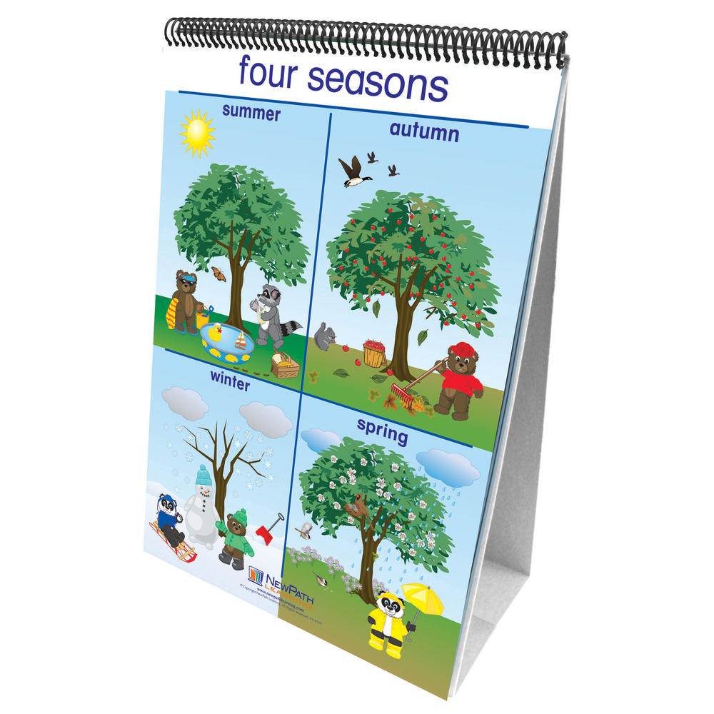 New Path Learning Early Childhood Science Readiness Flip Charts, Weather & Sky
