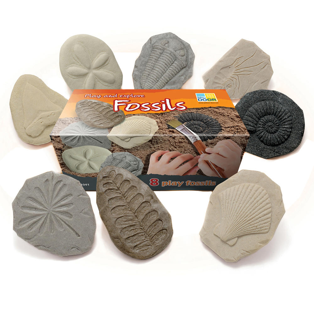 Yellow Door Let's Investigate Fossil Stone, Pack of 8