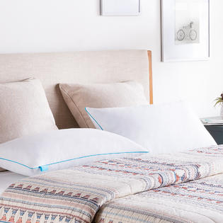 Linenspa 2 Pack Shredded Memory Foam Pillow