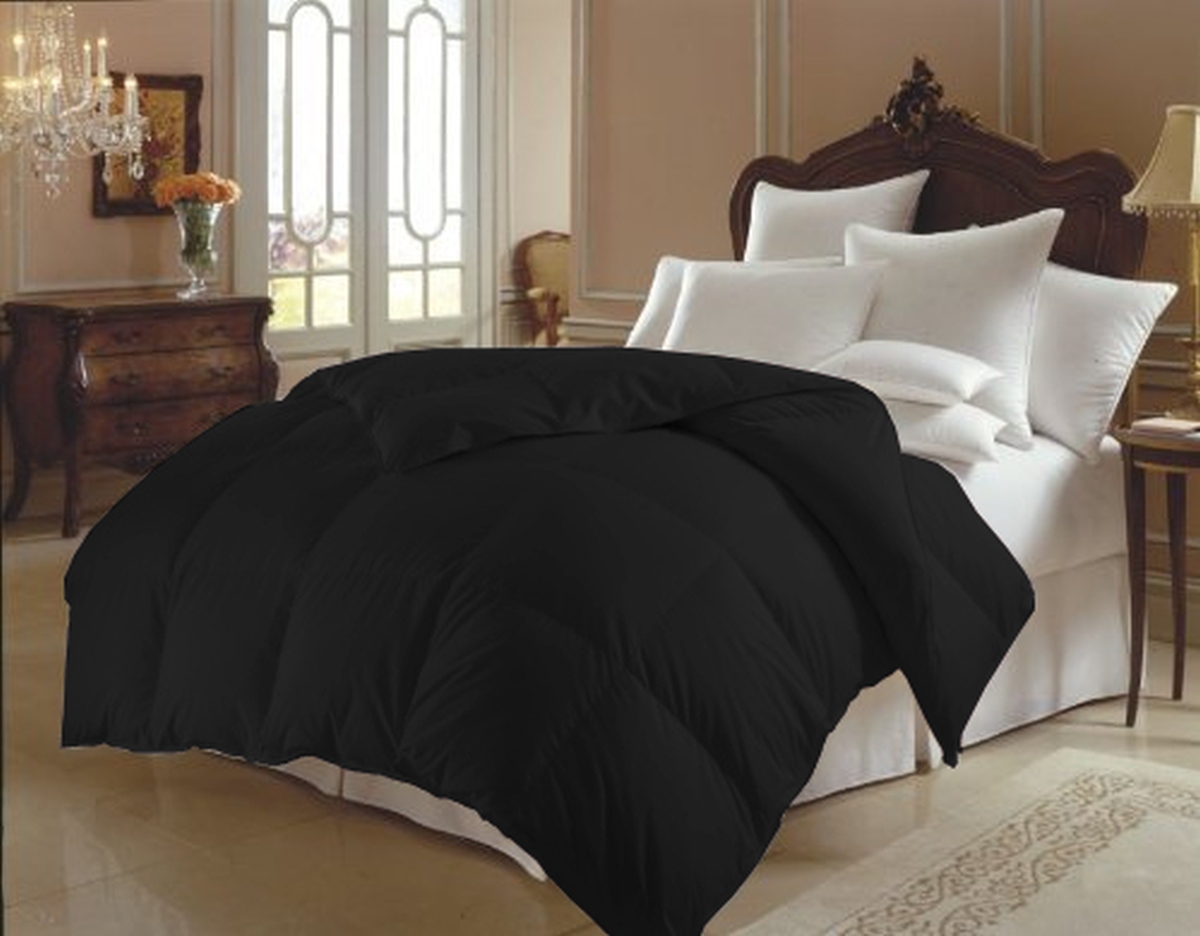 Elegant Comfort Down Alternative All Season Comforter - Box Stitch, Size: Twin/Twin XL, Purple Elegant Comfort Down Alternative All Season Comforter - Box Stitch, Size: Twin/Twin XL, Purple