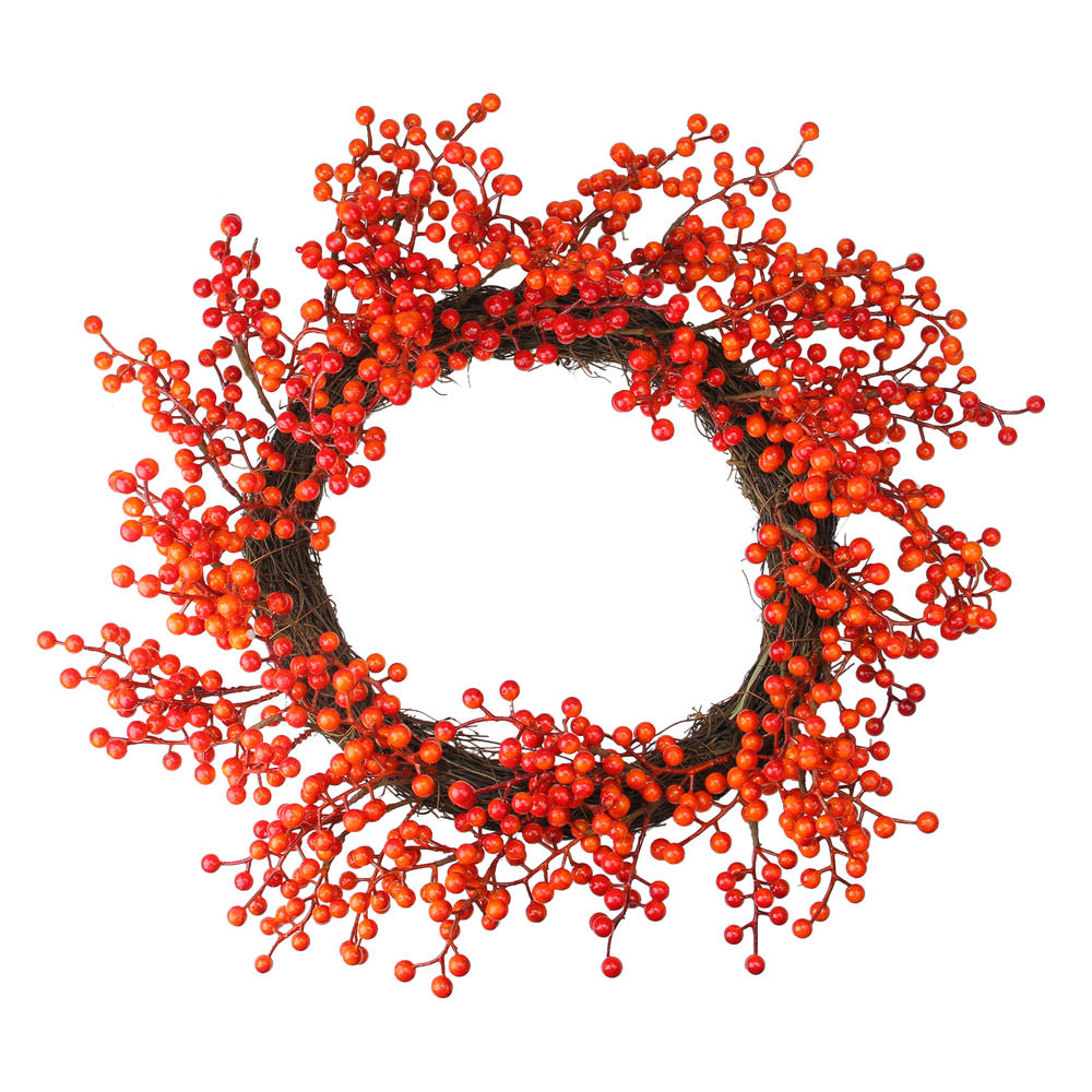 Northlight Red and Orange Artificial Berry Artificial Thanksgiving Wreath - 18-Inch