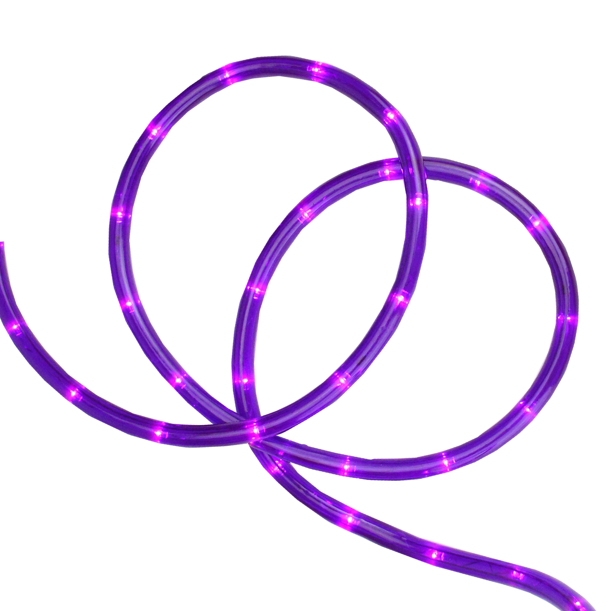 Sienna 18' Purple LED Indoor/Outdoor Christmas Rope Lights - 2 Bulb Spacing
