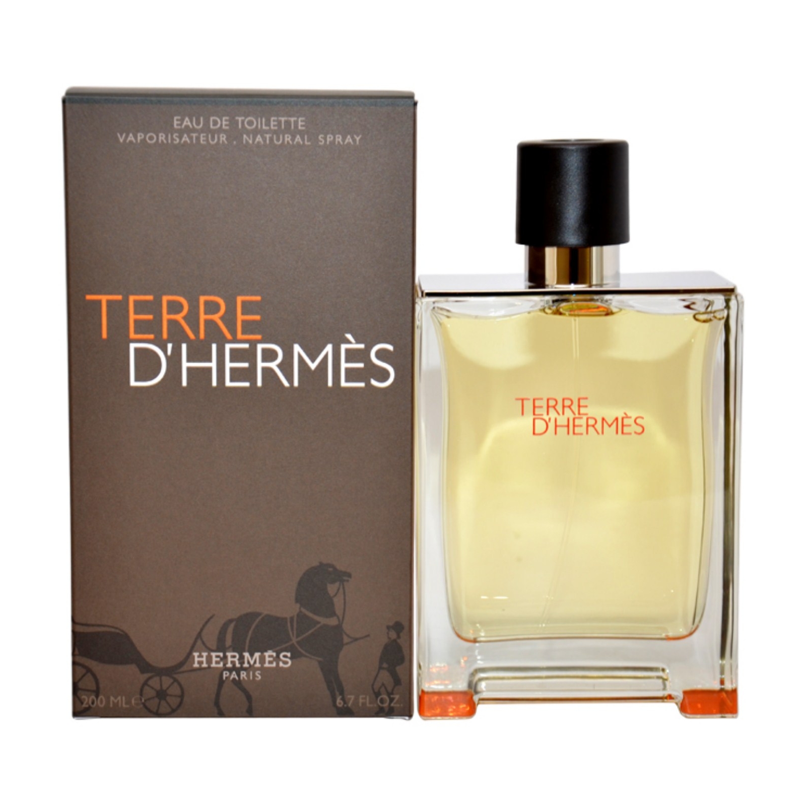Hermes Terre D' by  for Men - 6.7 oz EDT Spray