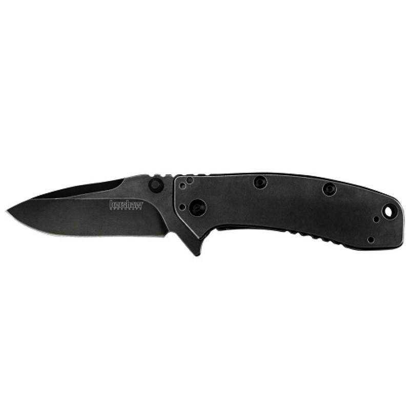 Kershaw Cryo II BlackWash Flipper Knife
