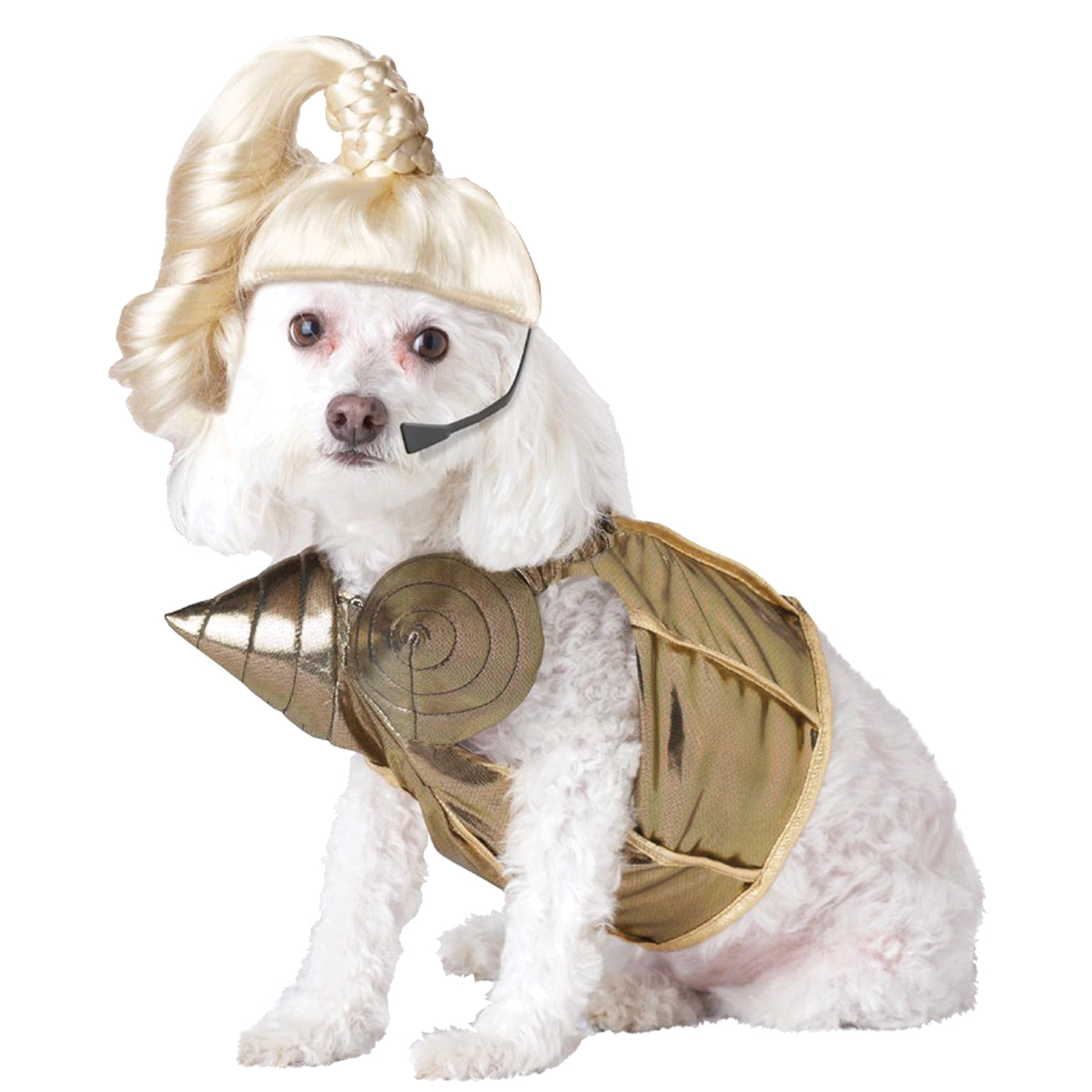 Pet Pop Queen Halloween Costume
