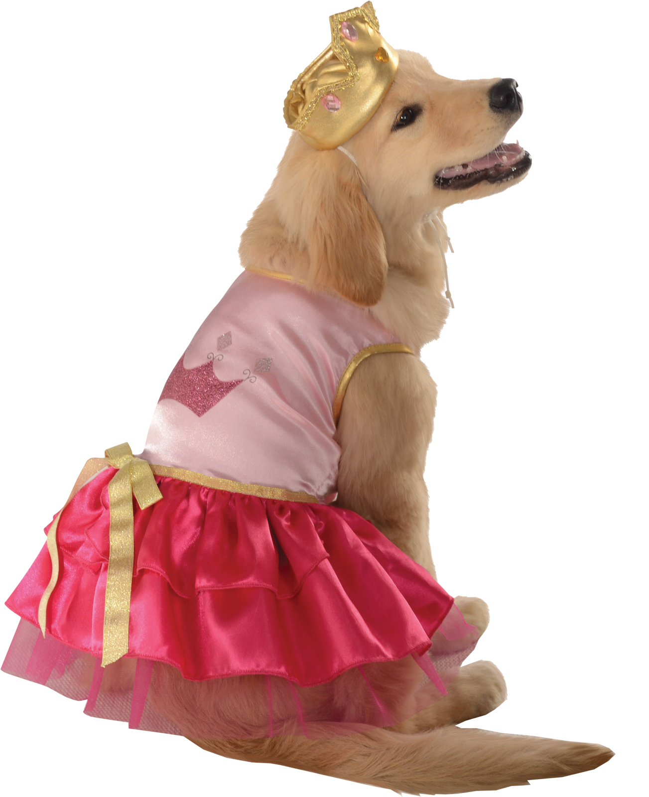 Pet Princess Pup Halloween Costume