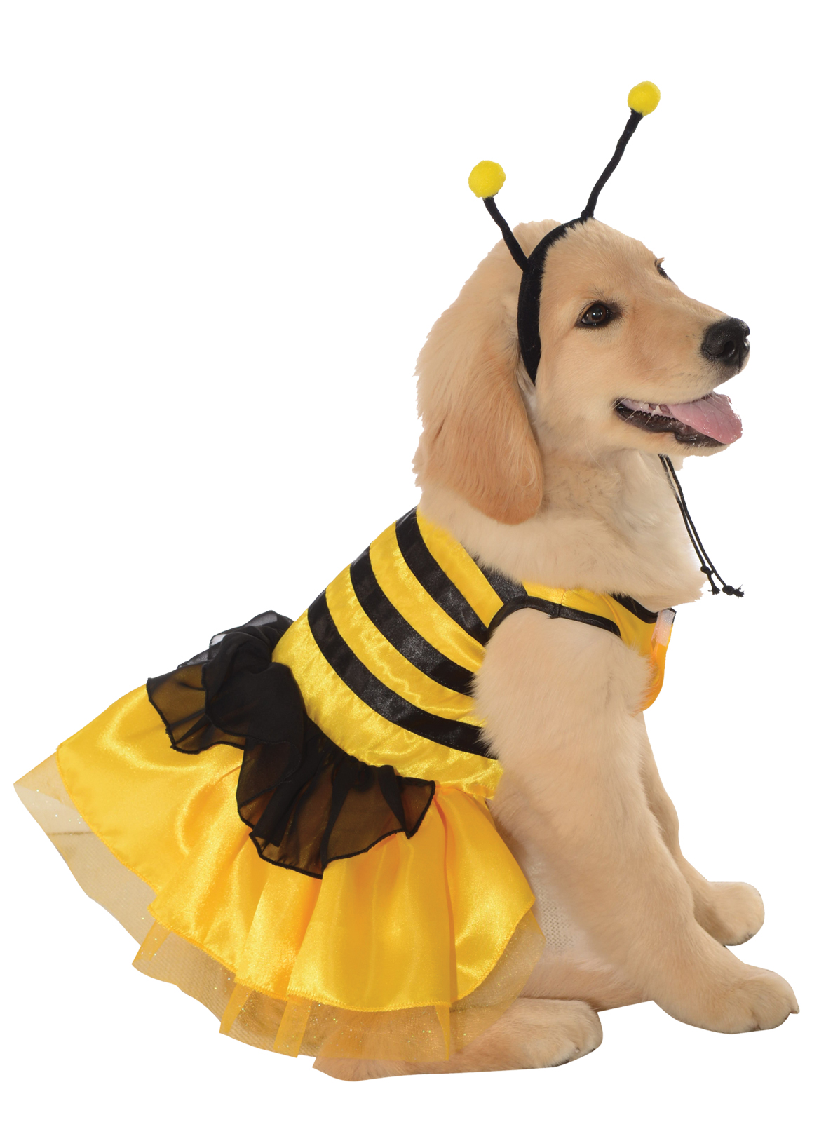 Pet Baby Bumblebee Halloween Costume