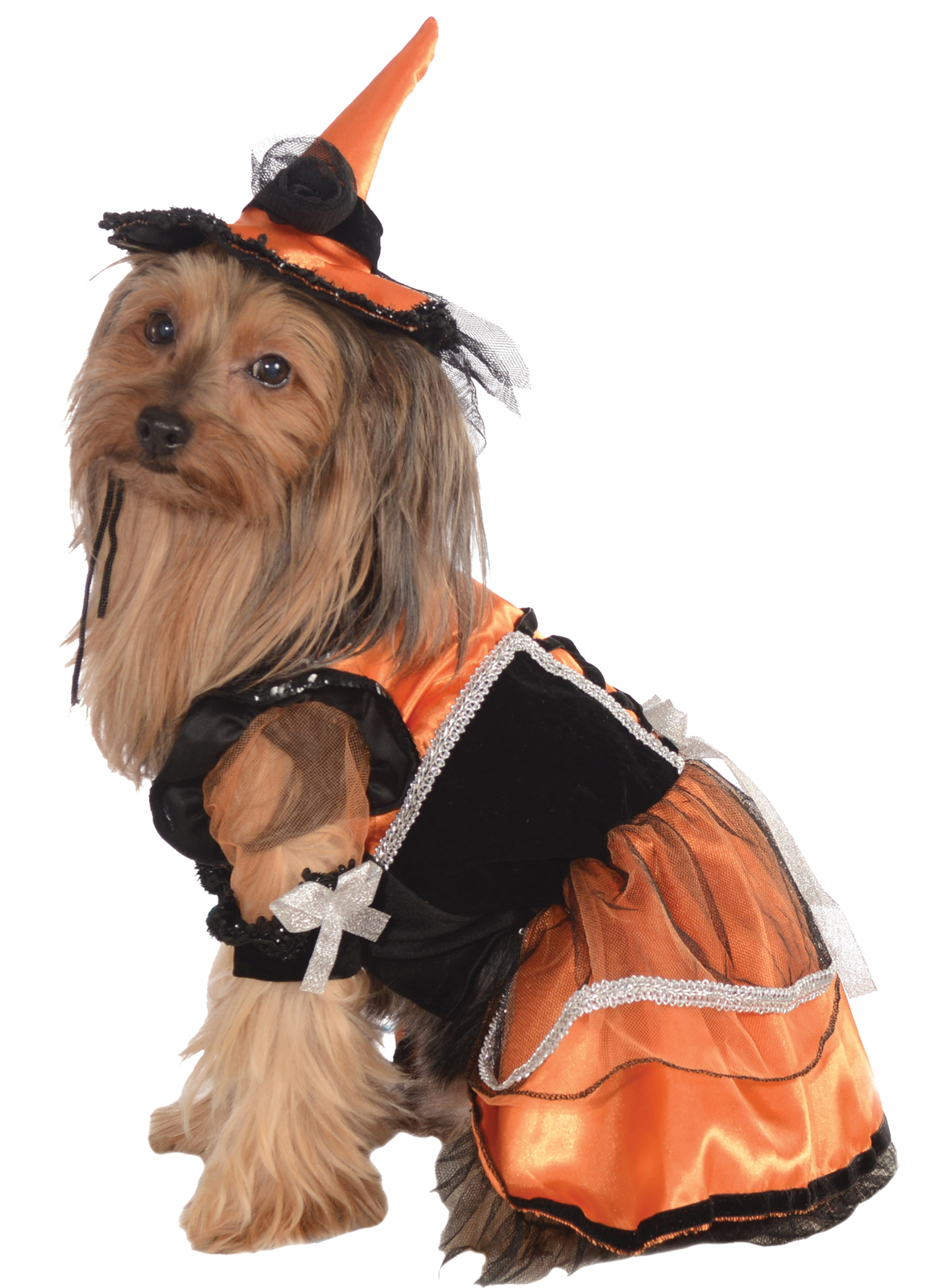Pet Orange Witch Halloween Costume