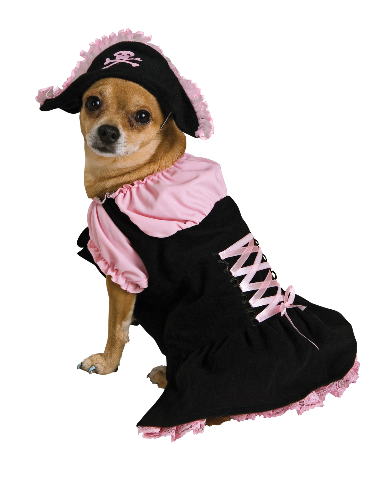 Pet Pink Pirate Halloween Costume