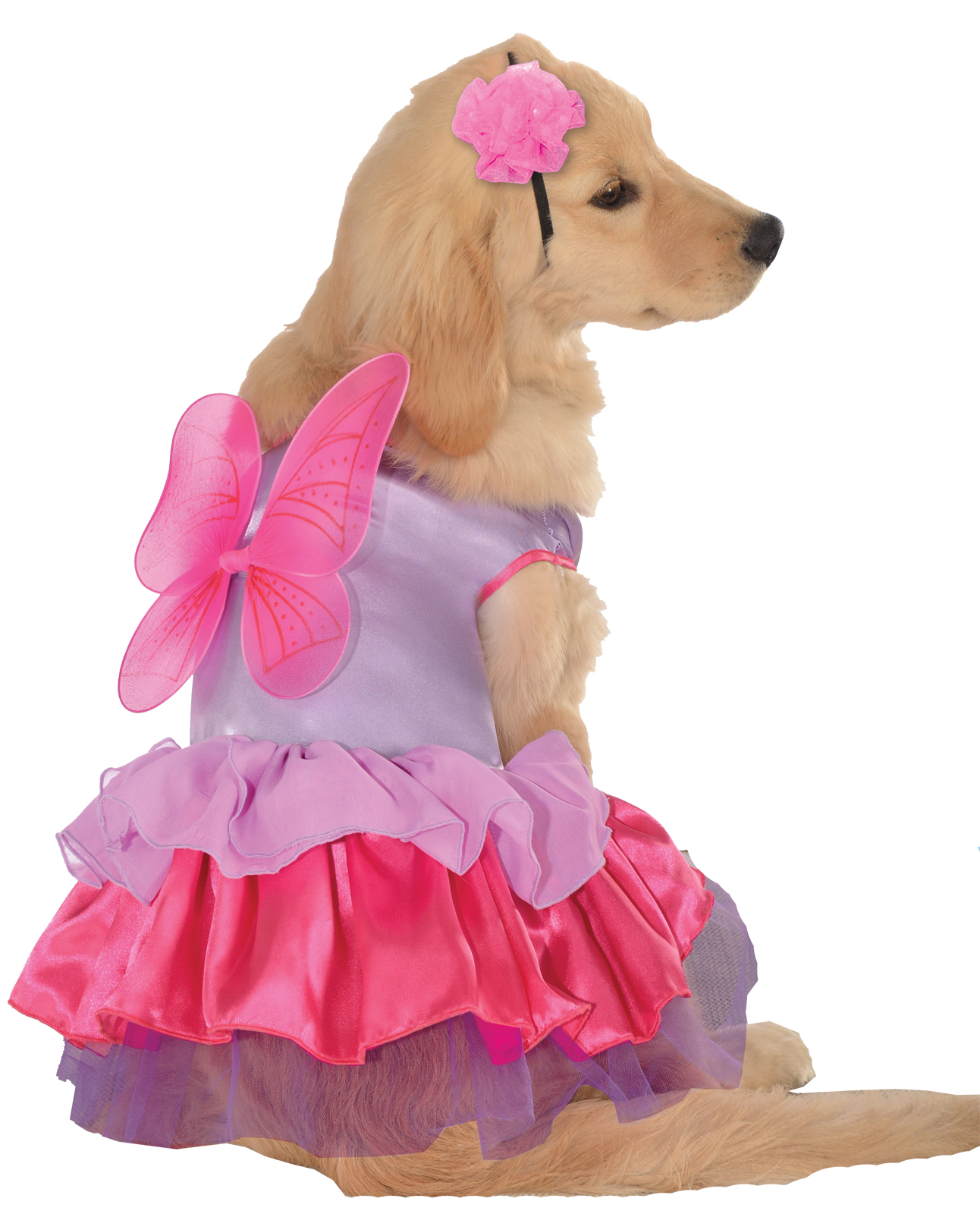 Pet Pixie Pup Halloween Costume