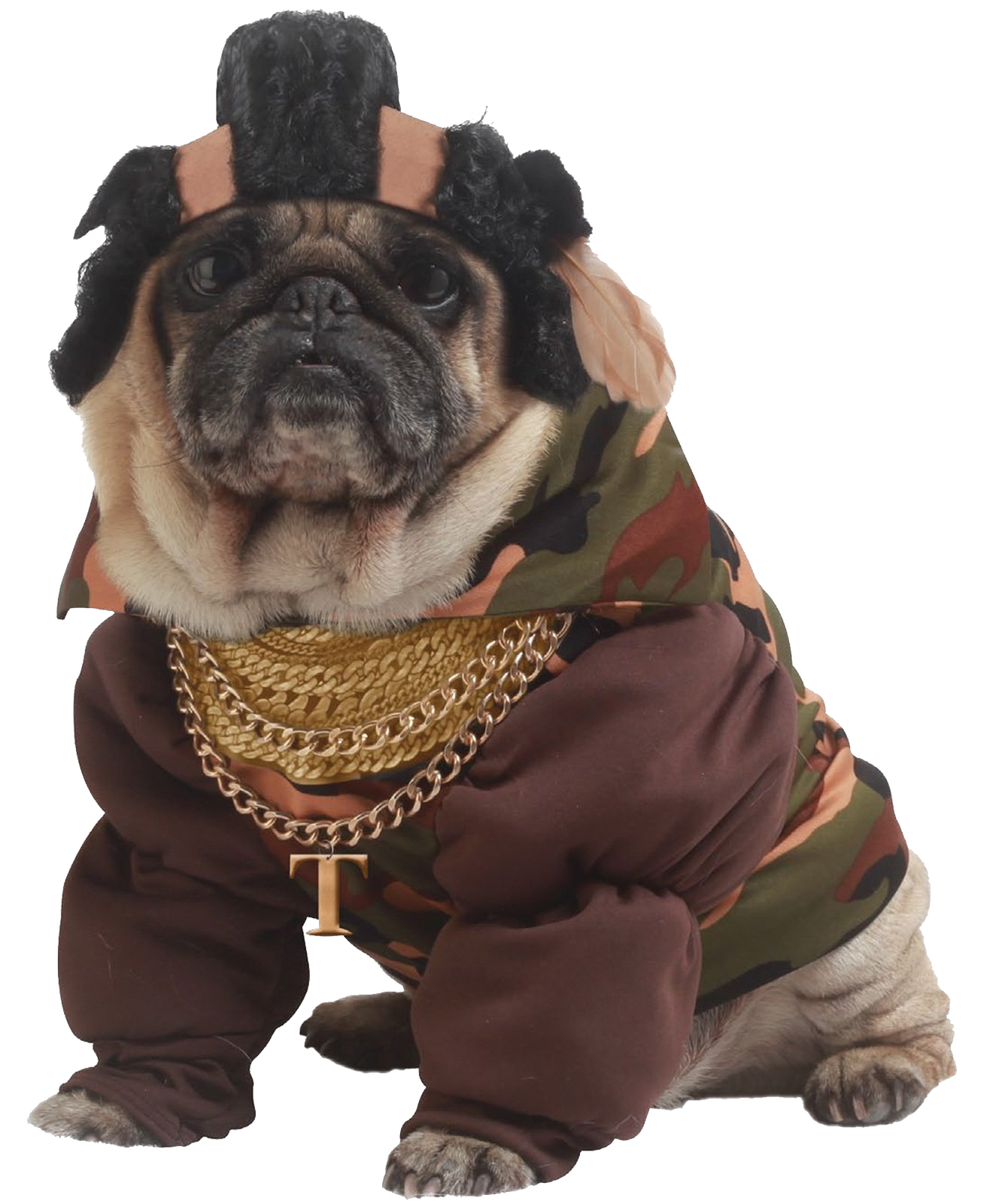 Pet Halloween Costumes Dog Costumes Kmart
