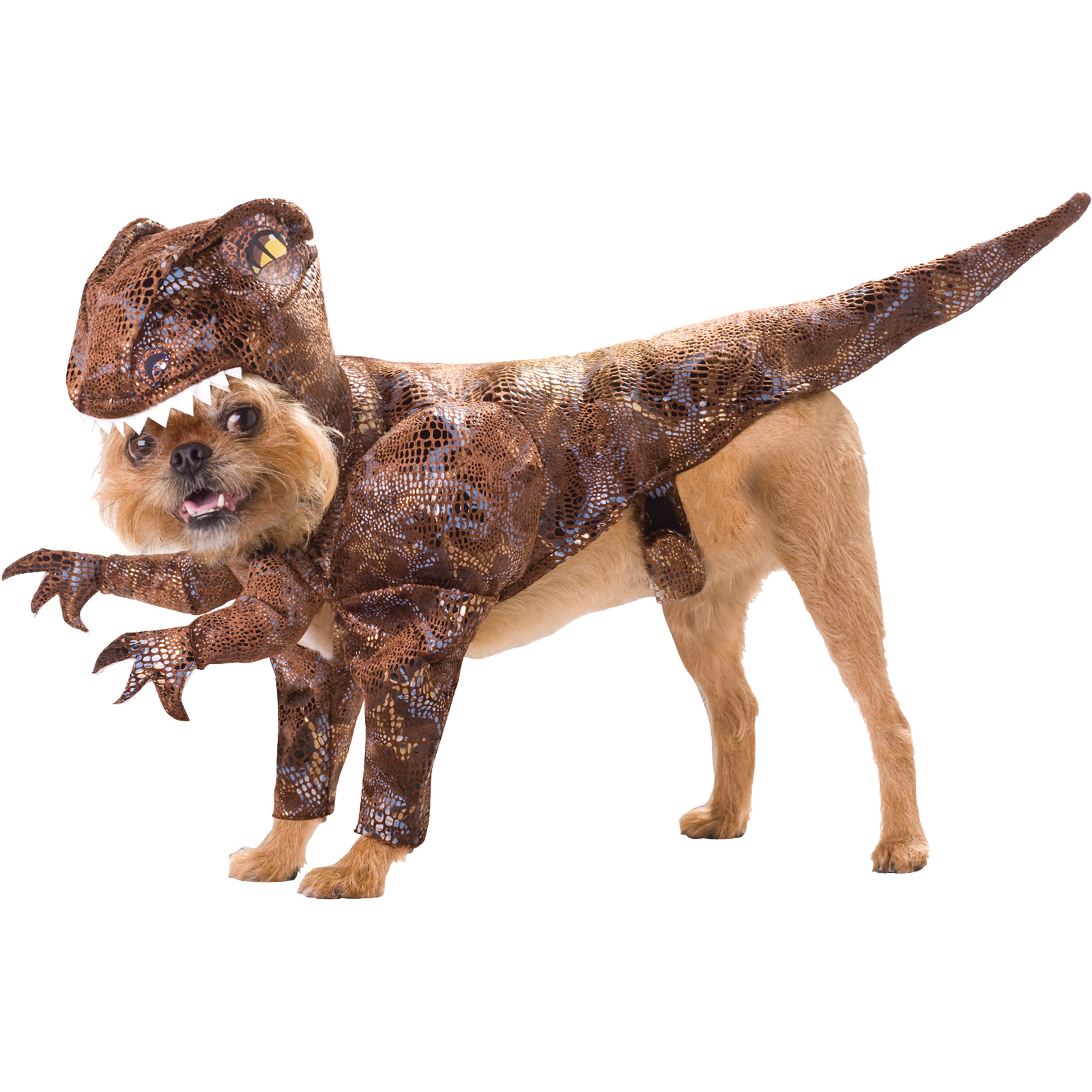 Pet Animal Planet Raptor Halloween Costume