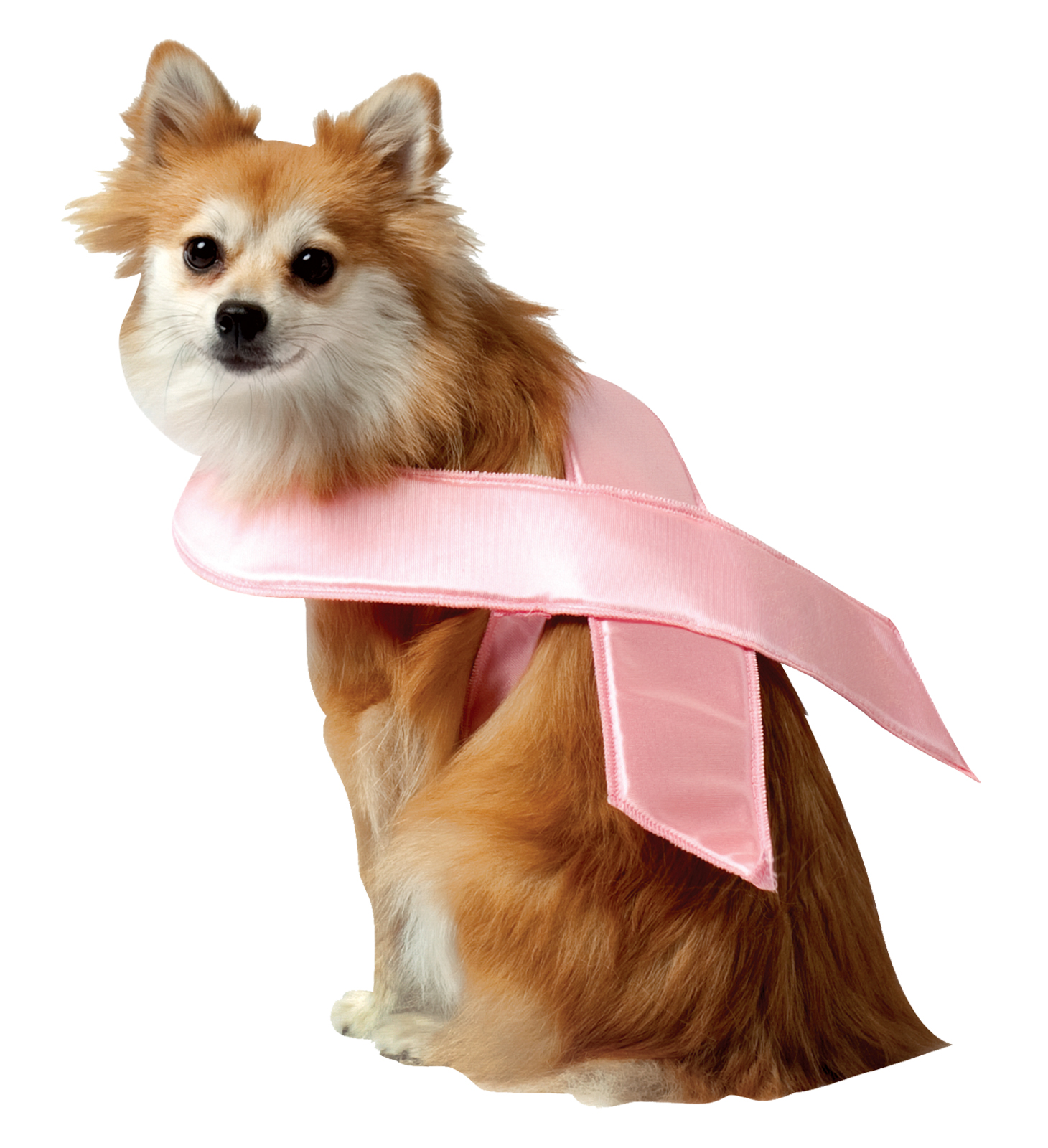 Pet Pink Ribbon Halloween Costume