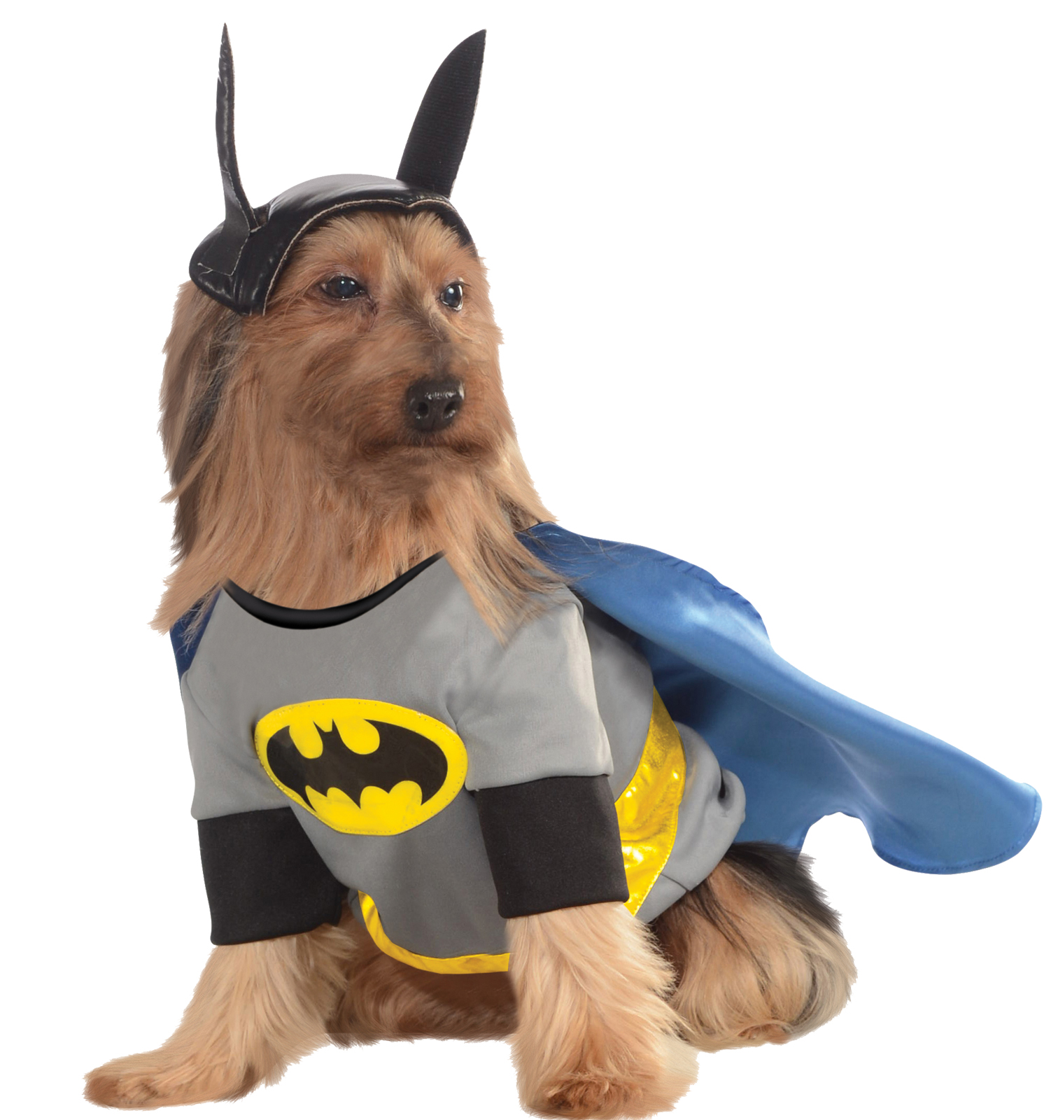 Pet Batman Halloween Costume