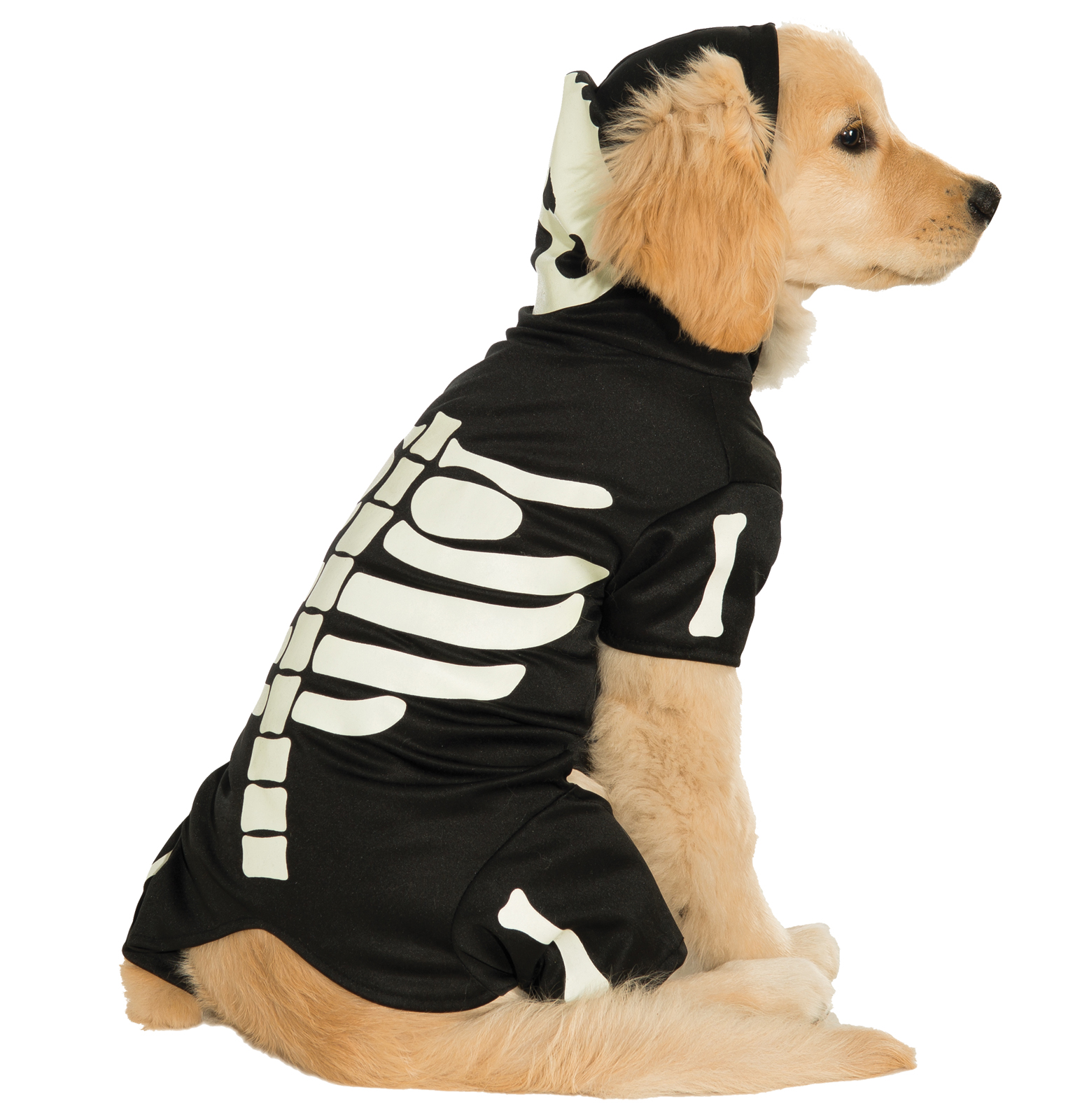 Pet Bones Glows Halloween Costume