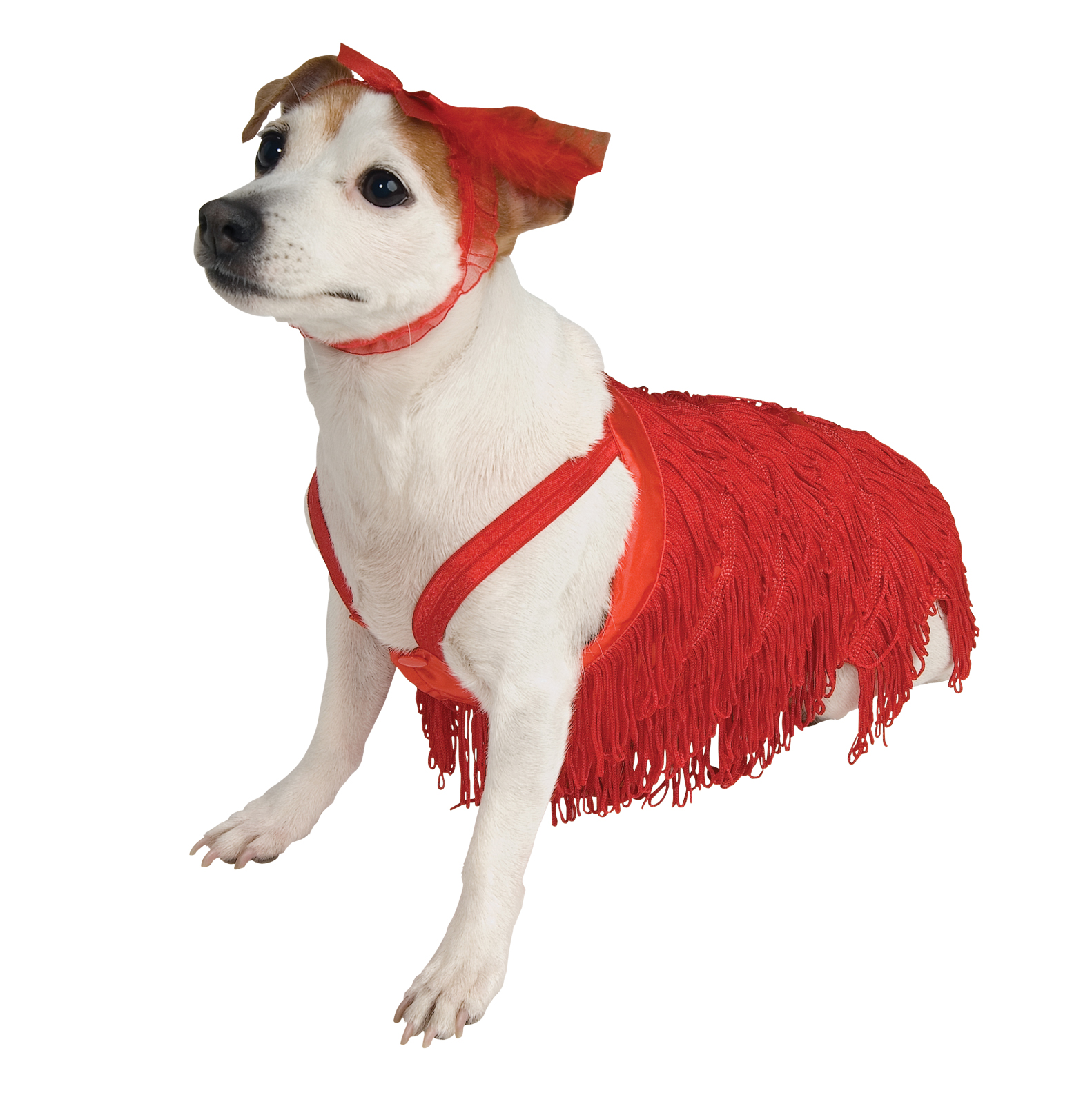 Pet Flapper Halloween Costume