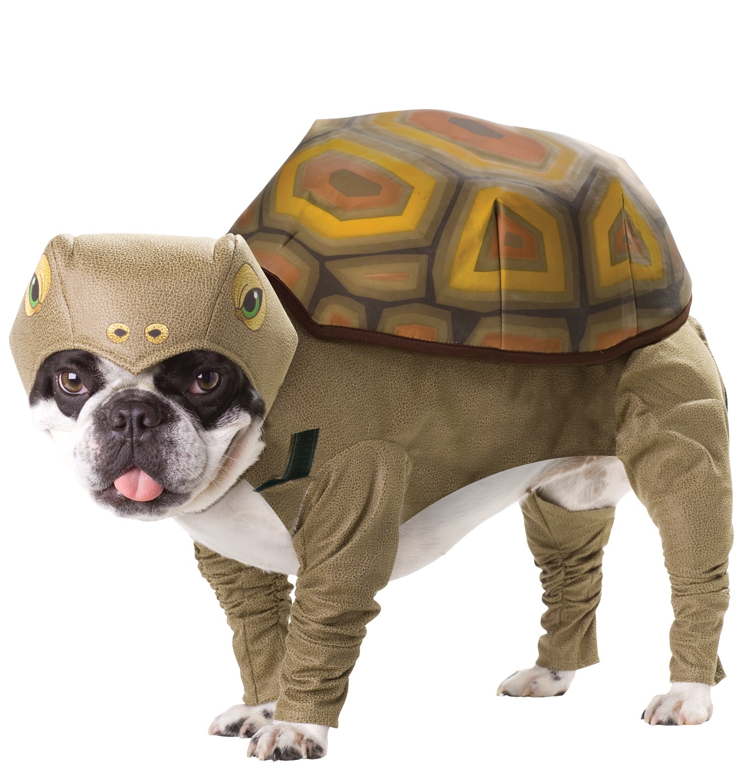 Pet Animal Planet Tortoise Halloween Costume