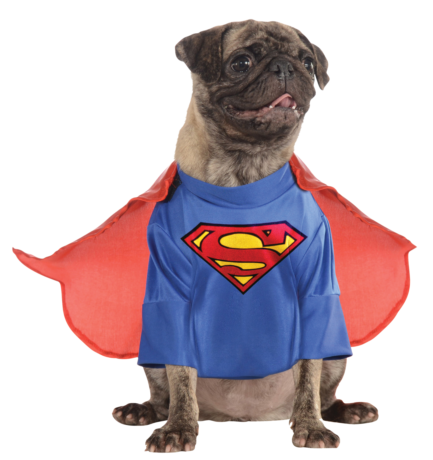 Pet Superman Halloween Costume