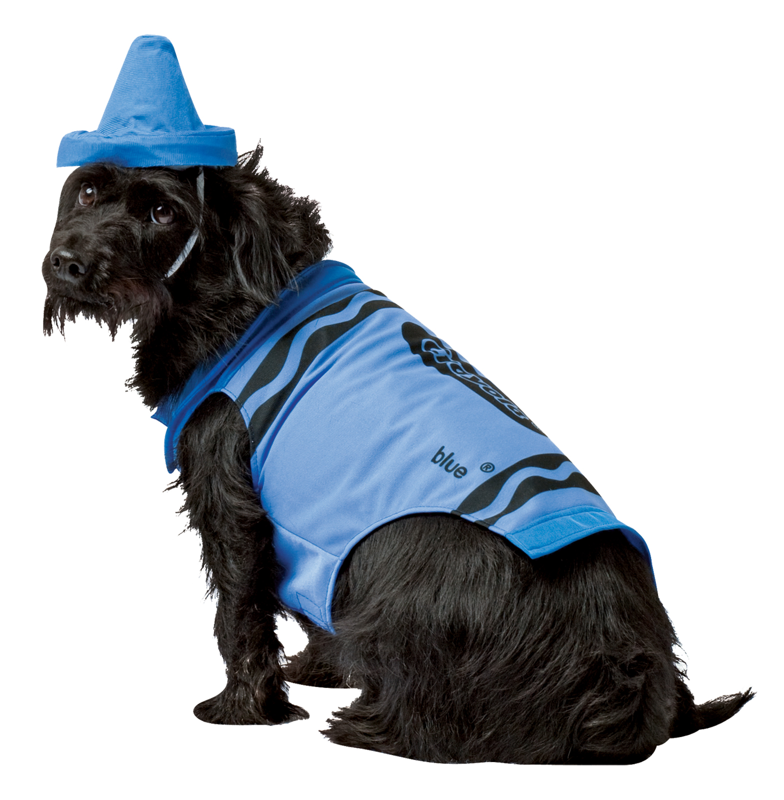 Pet Crayola Blue Halloween Costume