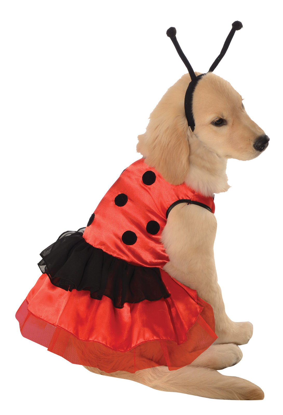 Pet Lovely Ladybug Halloween Costume