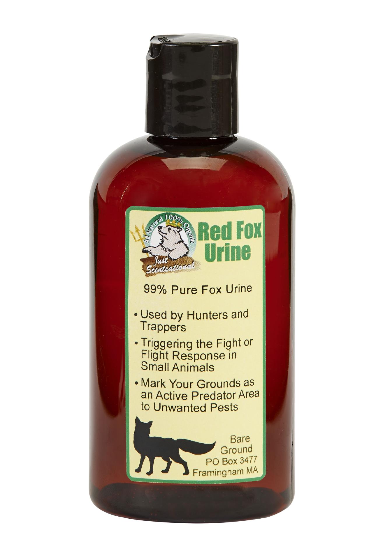 Just Scentsational 8 oz bottle of pure 100% meat fed red fox urine