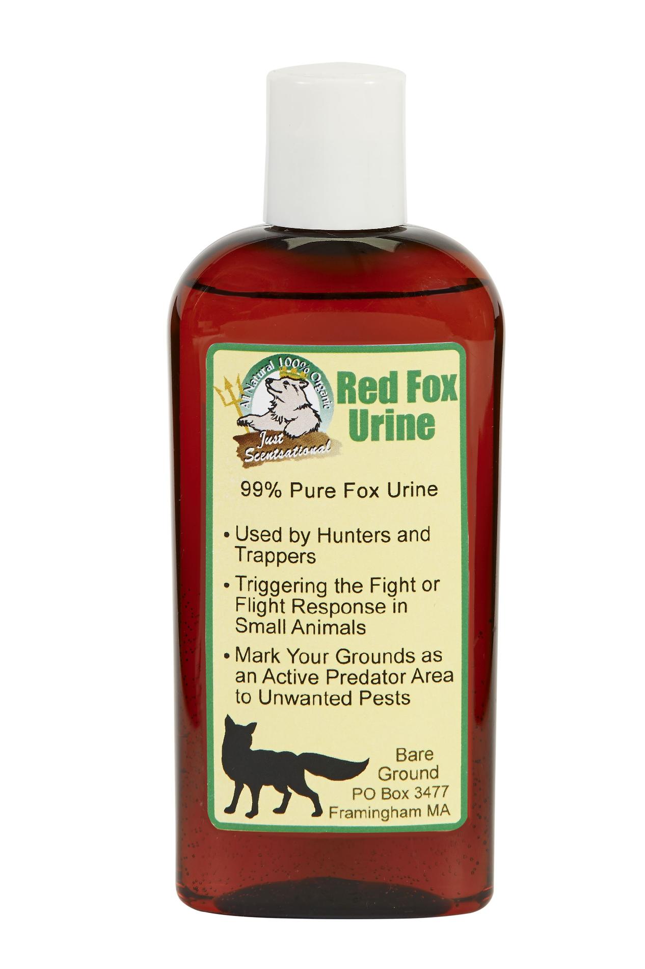 Just Scentsational 4 oz bottle of pure 100% meat fed red fox urine