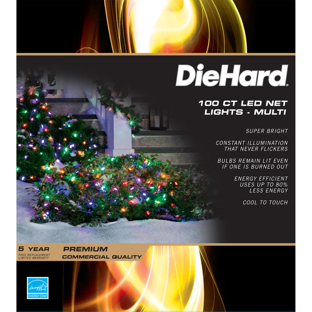 DieHard Christmas LED Net Lights - Multi, 2 Pack 100 ct