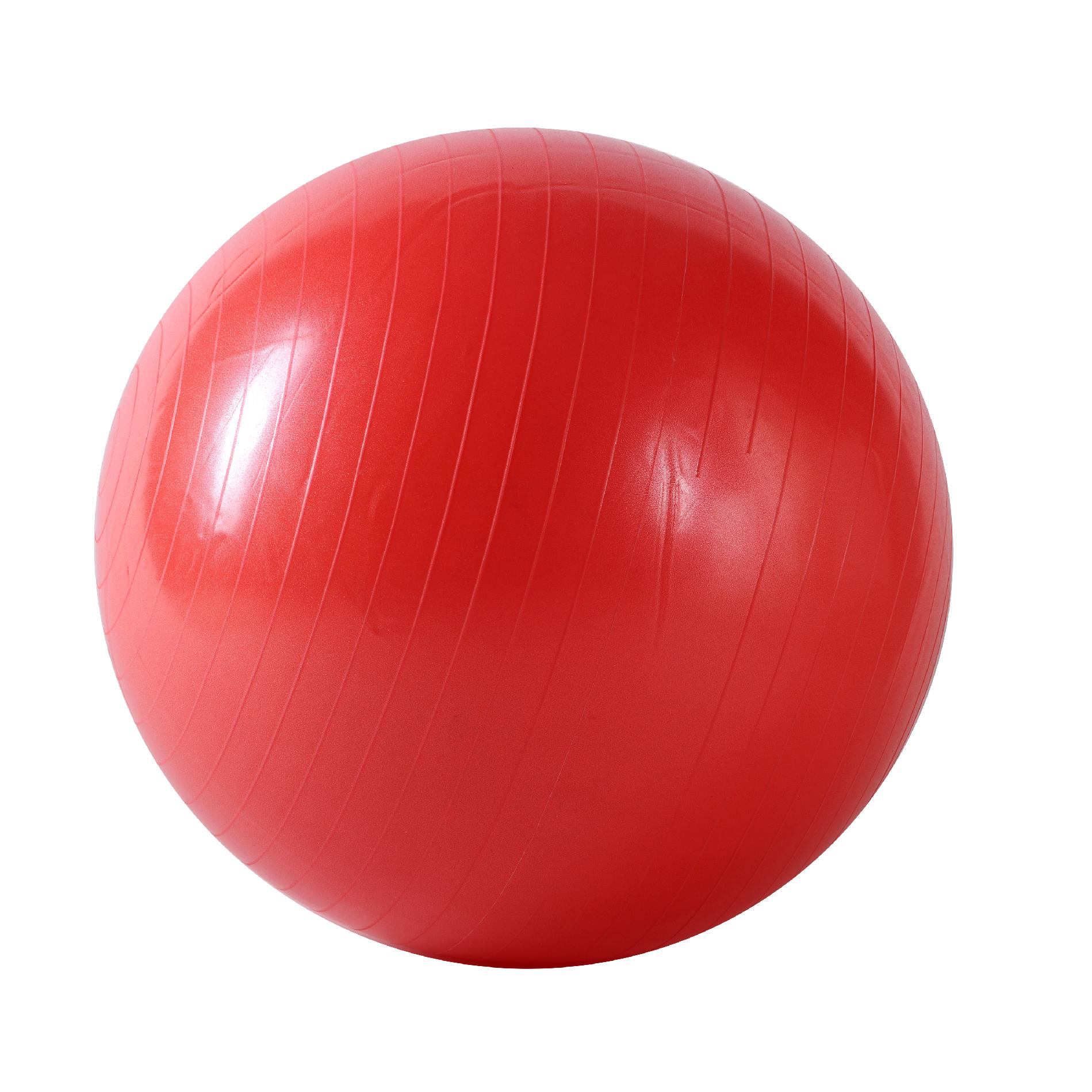Easy Credit Auto Sales >> Sunny Health & Fitness Anti-Burst Gym Ball-55cm Easy Credit Auto Sales >> Sunny Health & Fitness Anti-Burst Gym Ball-55cm