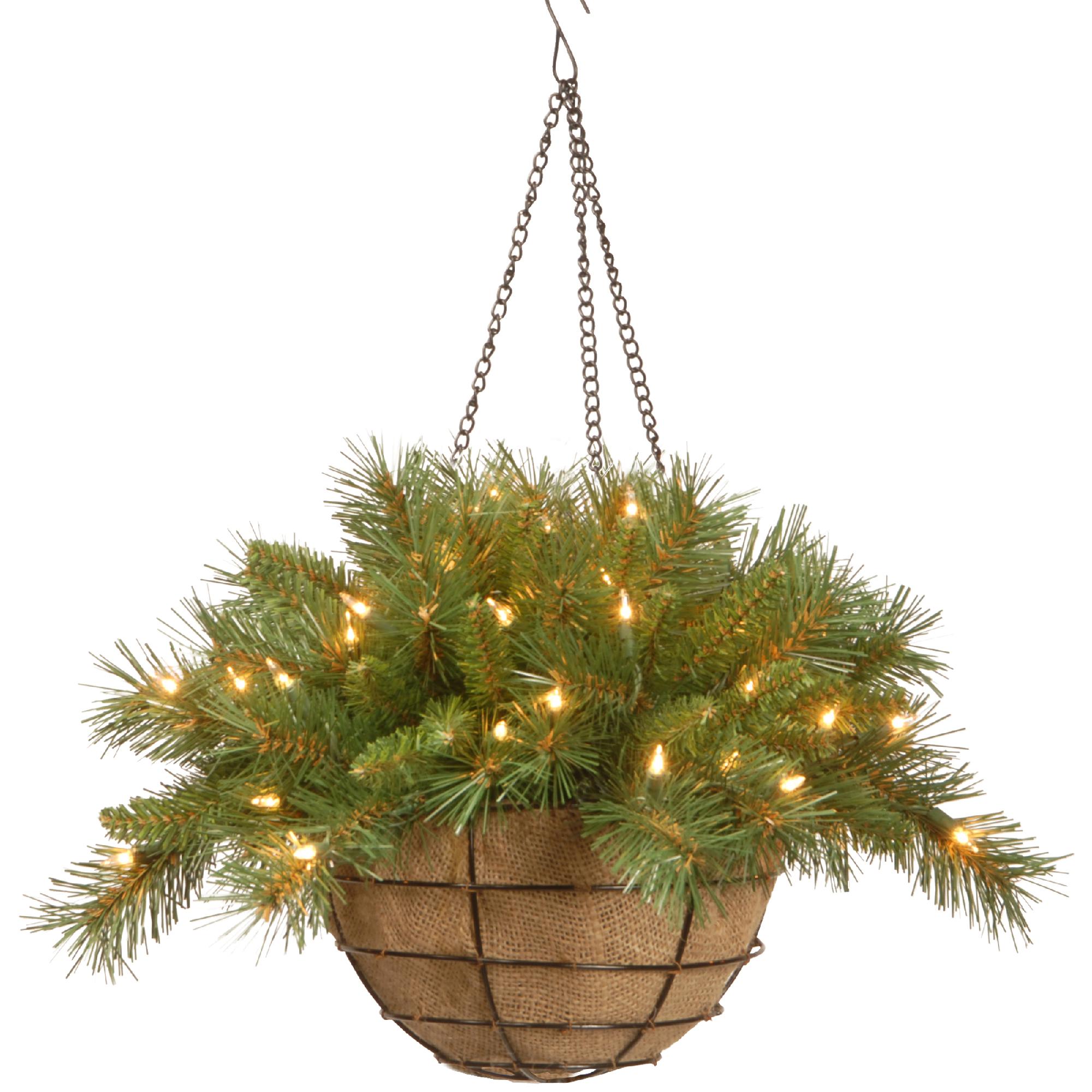 National Tree Company 20" Tiffany Fir Hanging Basket with Battery Operated Warm White LED Lights