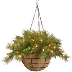 National Tree Company National Tree 20 Inch Tiffany Fir Hanging Basket with 50 Battery Operated Warm White LED Lights (TF-300-20HB-1)