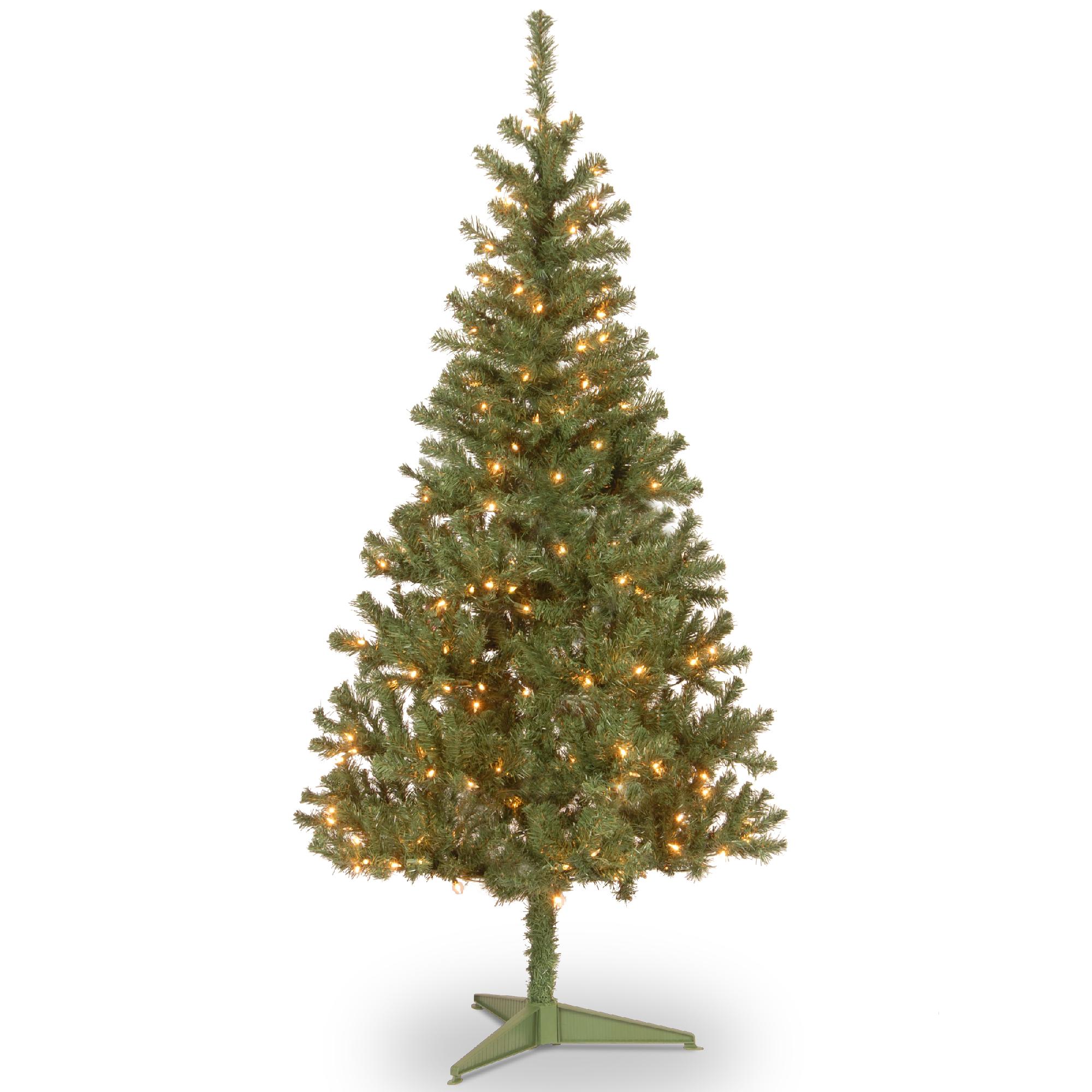 Trees 6 Ft Kmart
