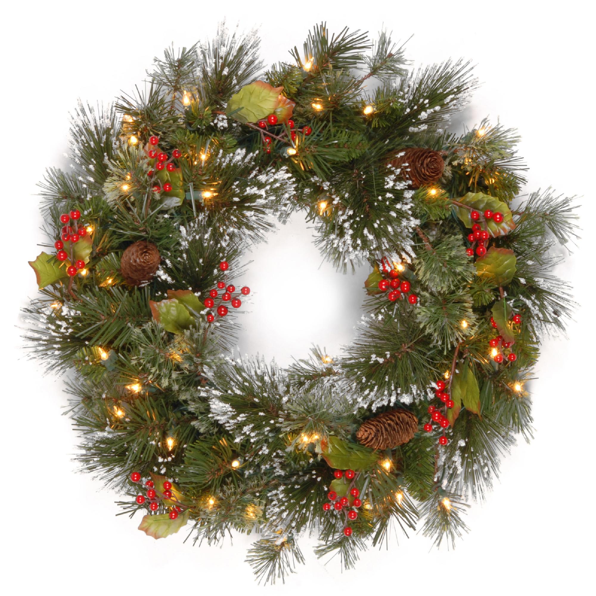 National Tree Company 24" Wintry Pine Wreath with Clear Lights