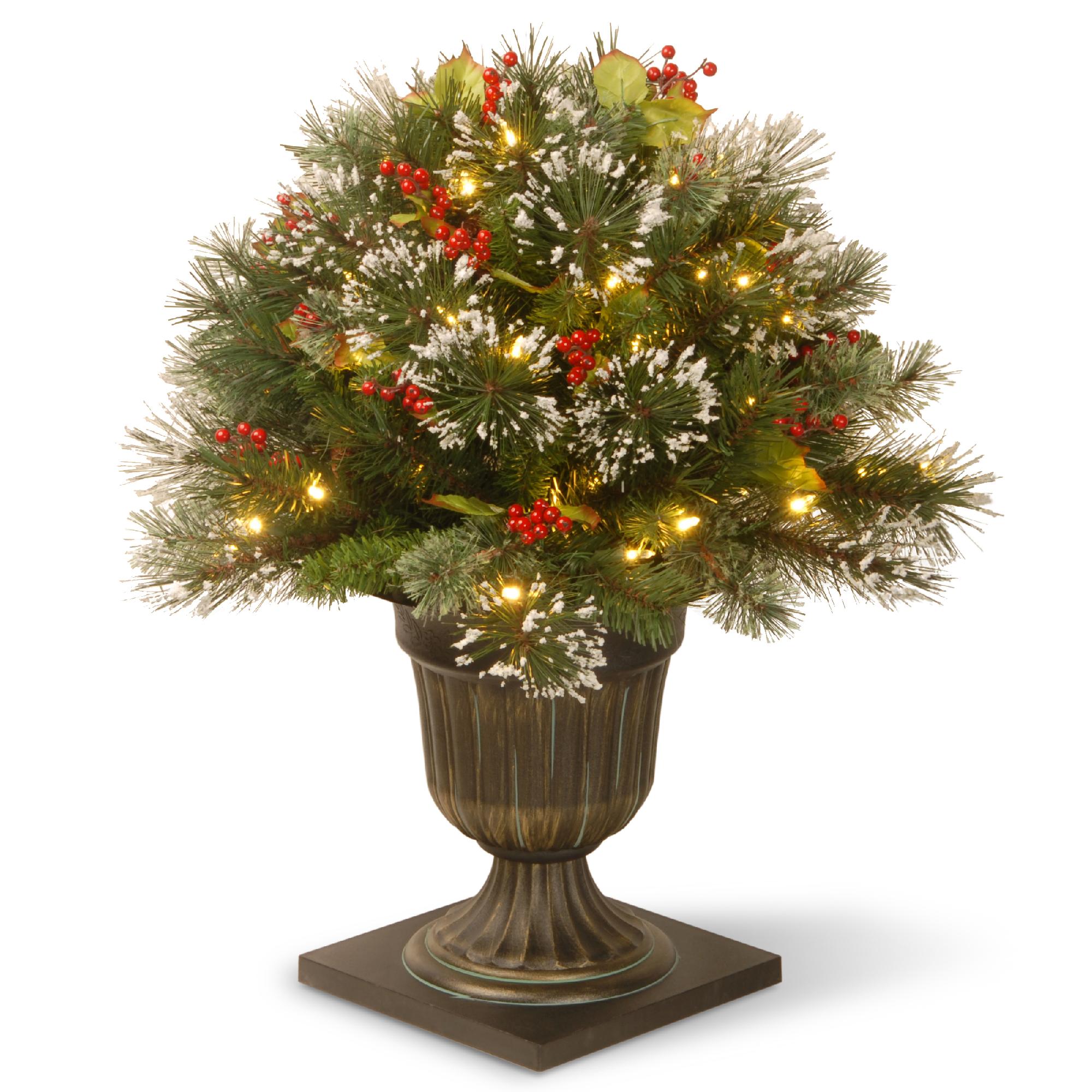 National Tree Company 26" Wintry Pine Porch Bush with Clear Lights