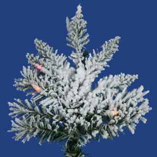 Vickerman 7.5' Flocked Utica Fir Tree with 400 Led Multi ...