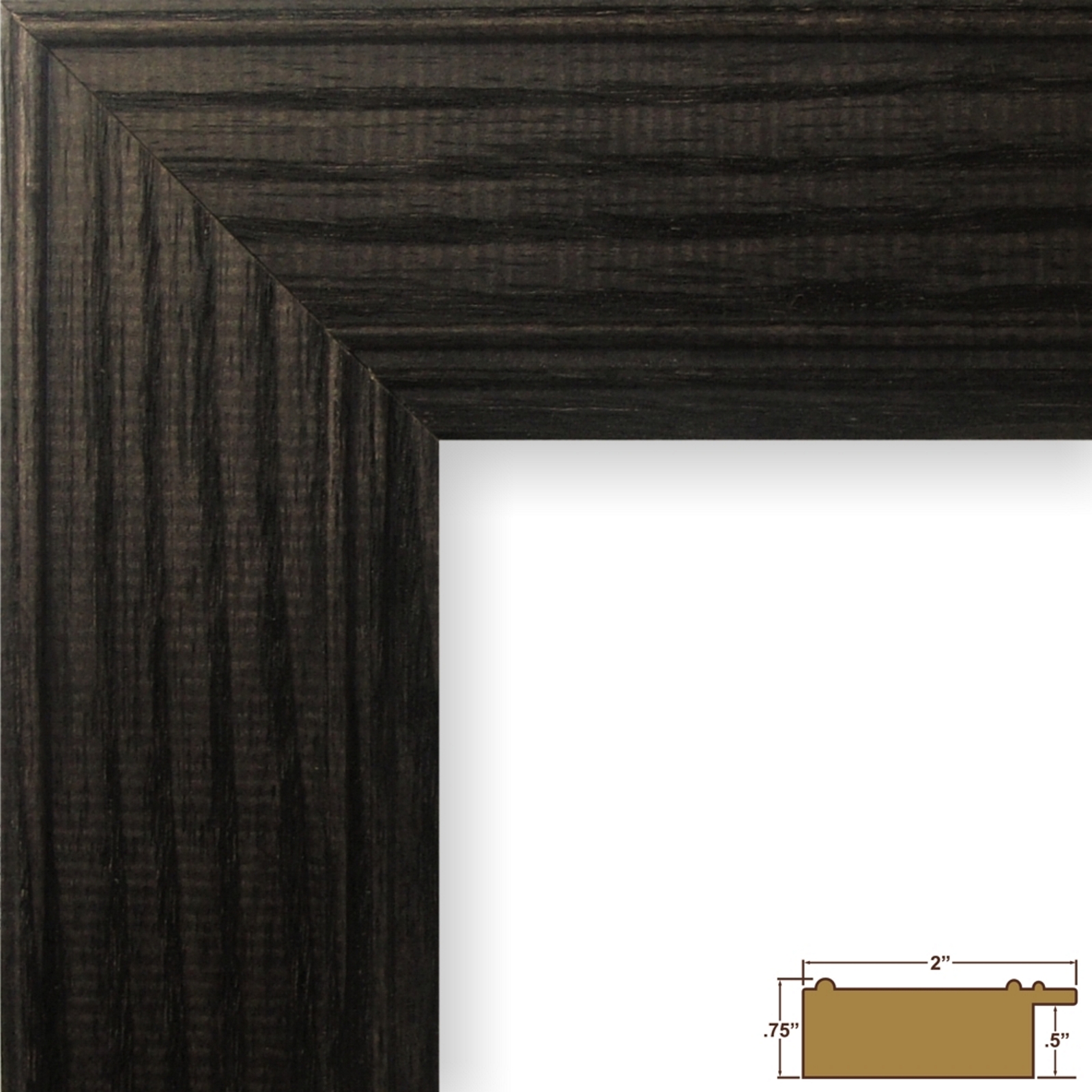 Craig Frames Inc Gallery Modern Upscale Picture Frame (81351)