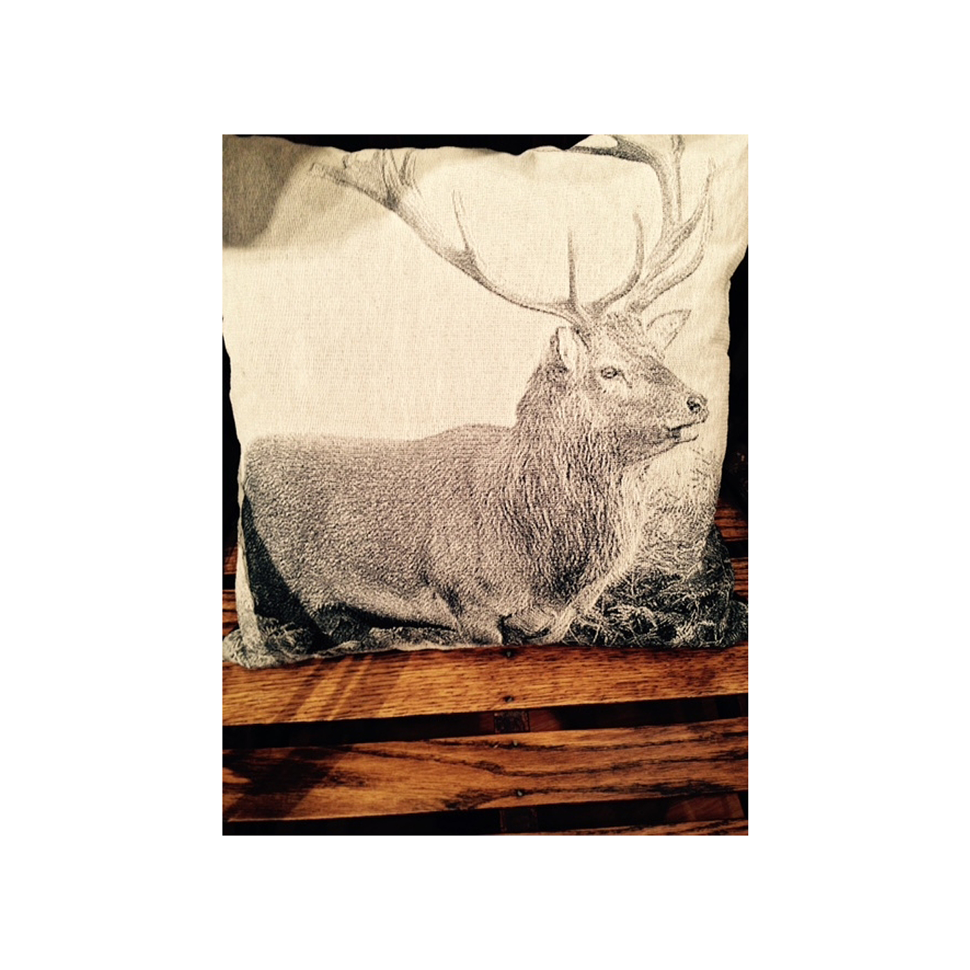 16 x 16 Square Pillowcase - Elk