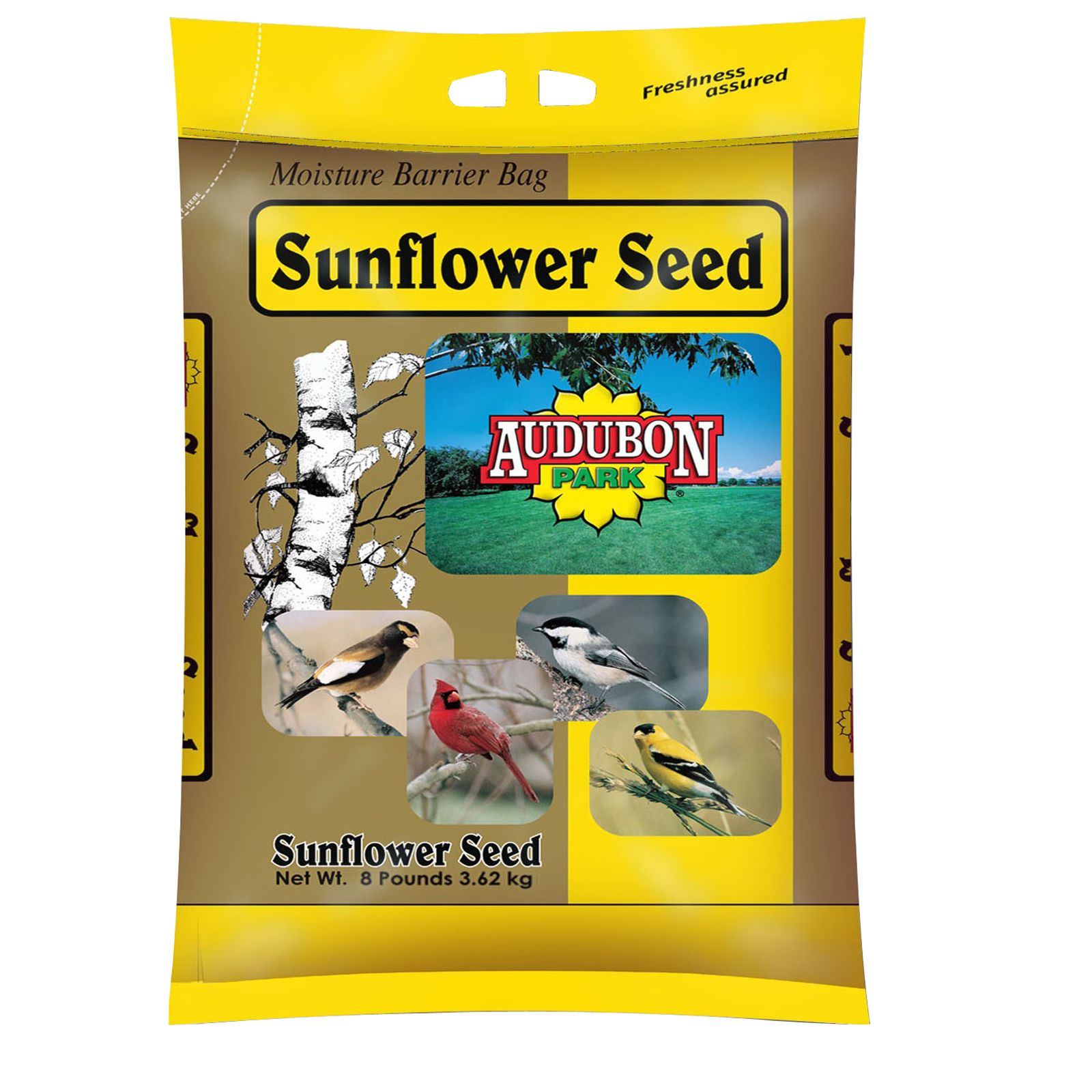 Audubon Park Sunflower Seed Wild Bird Food 8 Pound Bag