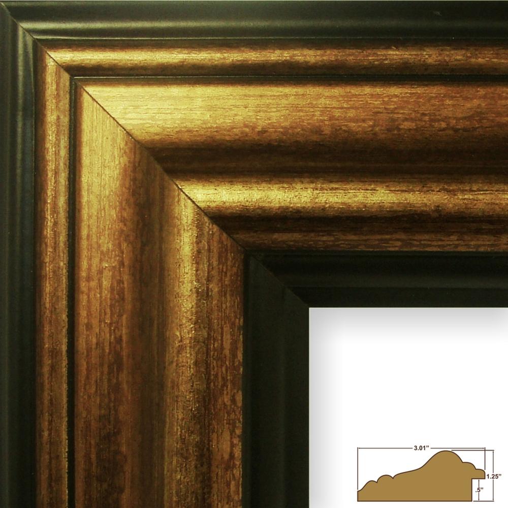 Craig Frames Inc Copper Canyon Picture Frame (21307)