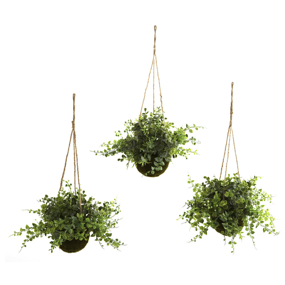 Eucalyptus  Maiden Hair and Berry Hanging Basket  Set of Three