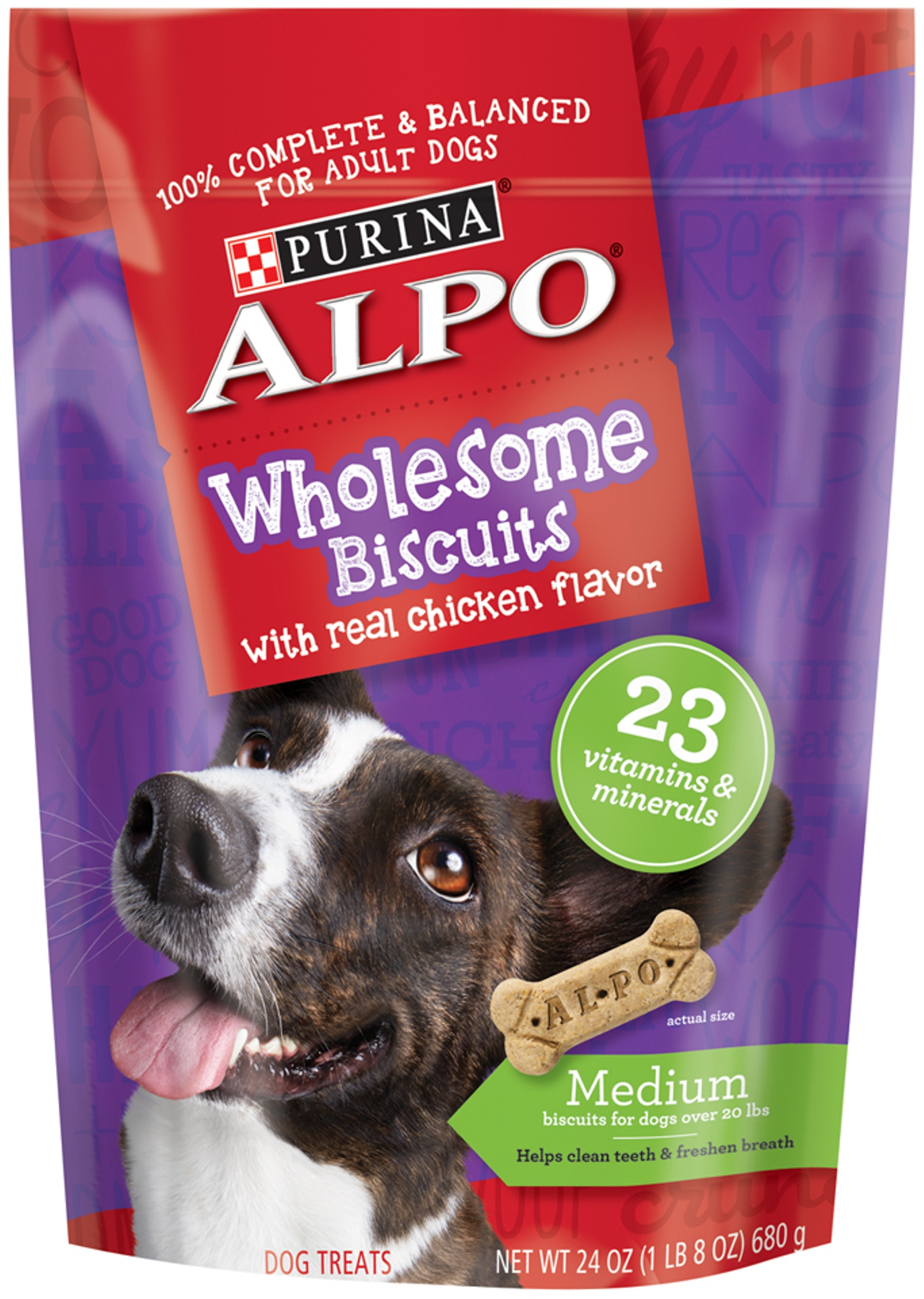 Alpo Wholesome Biscuits Medium with Real Chicken Flavor Dog Treats, 24 Oz.