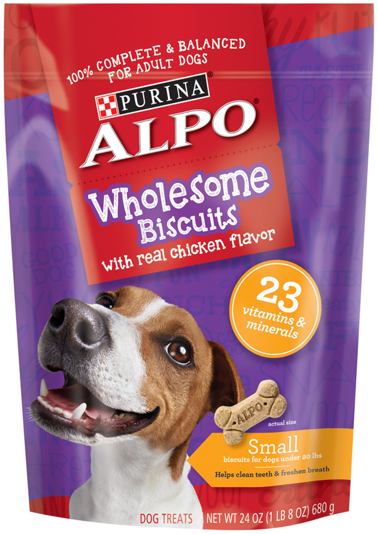 Alpo Wholesome Biscuits Small with Real Chicken Flavor Dog Treats, 24 Oz.