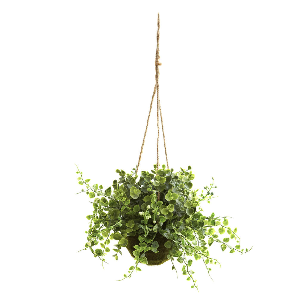 Eucalyptus  Maiden Hair and Berry Hanging Basket  Set of Three