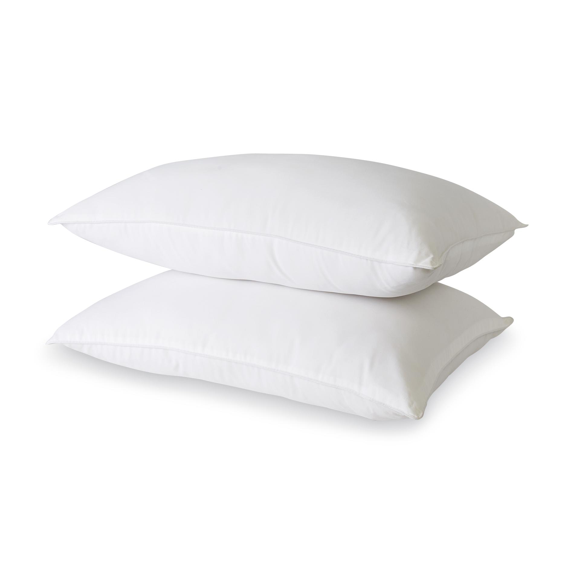Colormate 2-Pack Standard Pillows