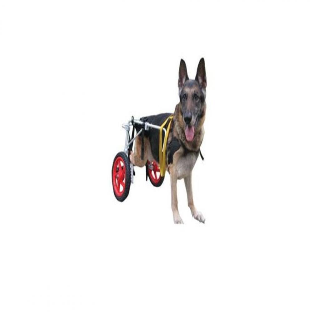 Best Friend Mobility BFMXL Mobility Elite Dog Wheelchair - Extra Large