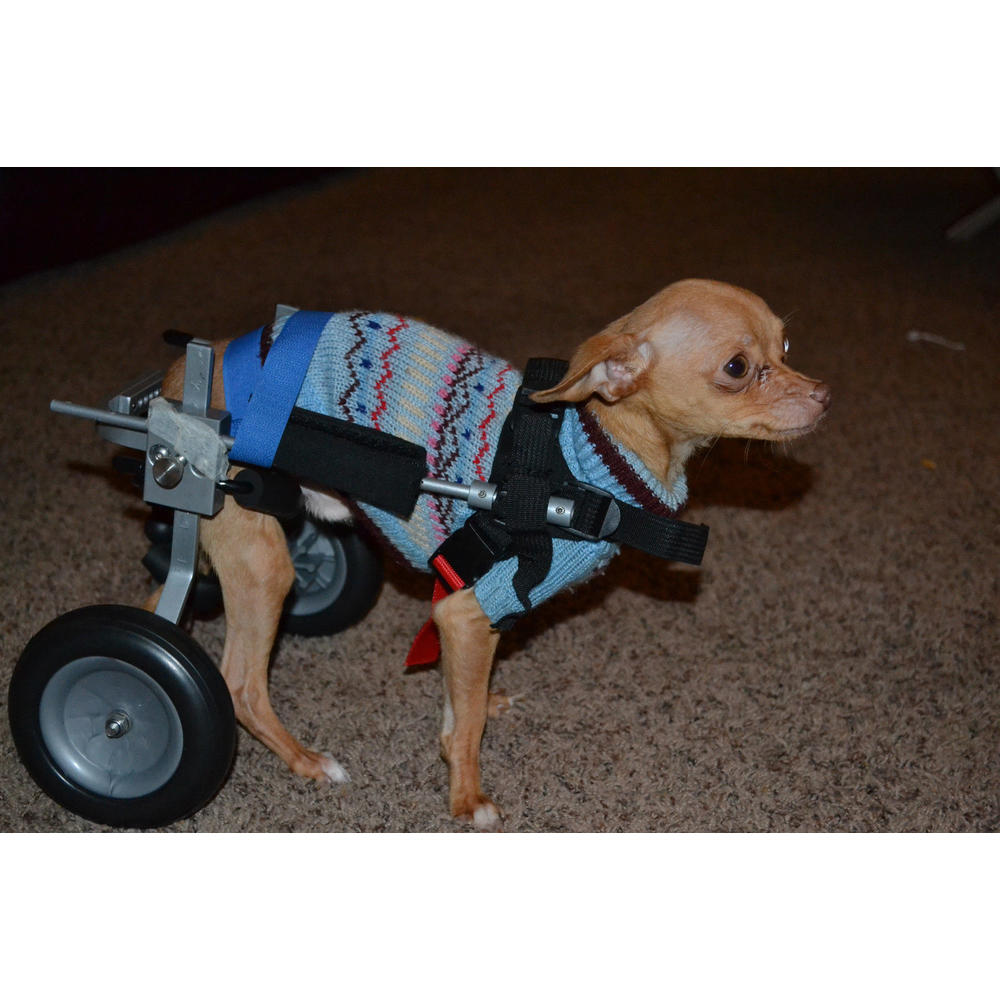 Best Friend Mobility BFMXXS Mobility Elite Dog Wheelchair - Extra Extra Small