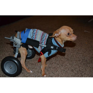 Best Friend Mobility BFMXXS Mobility Elite Dog Wheelchair Extra Extra