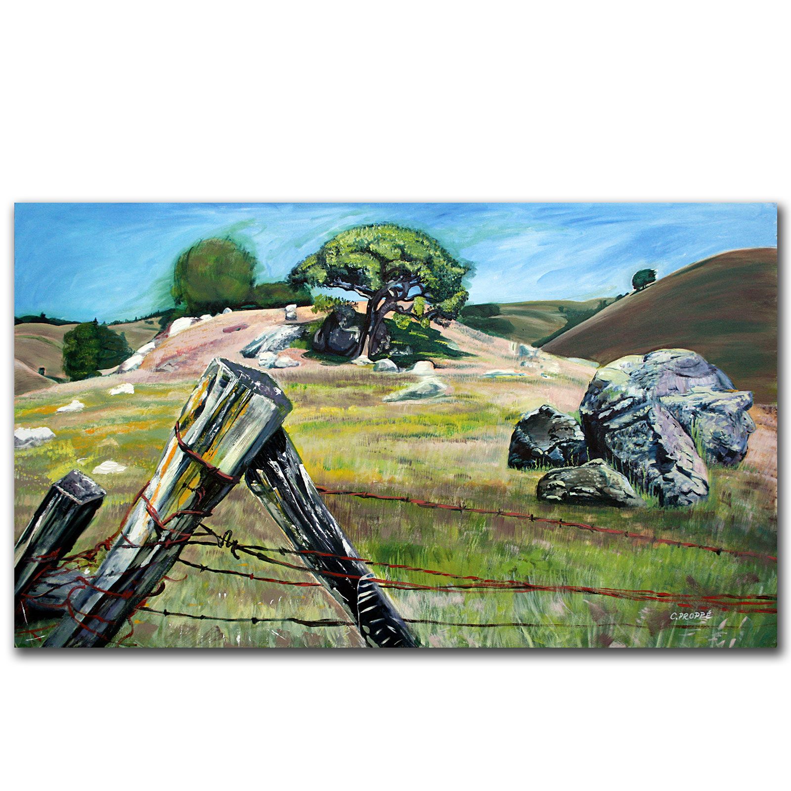 Trademark Global Colleen Proppe 'Nicasio Fence Post' Canvas Art