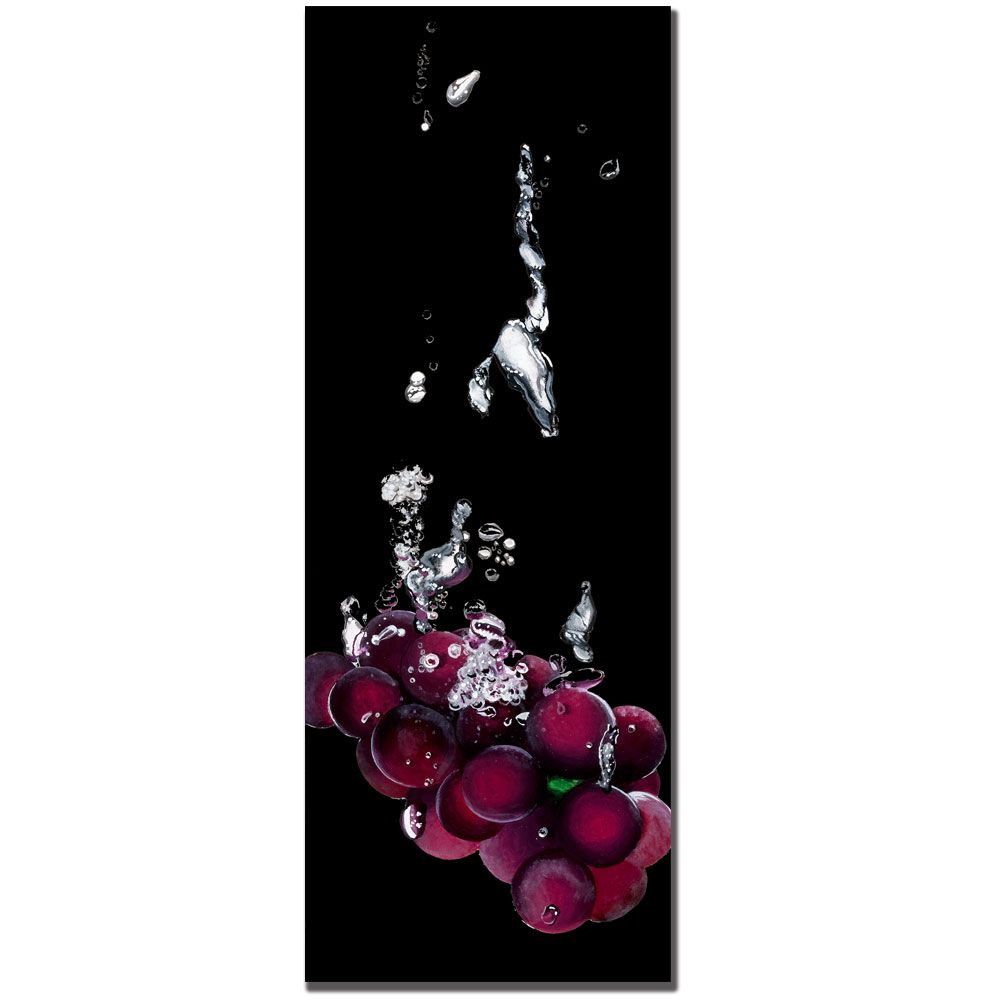 Trademark Global Roderick Stevens 'Grapes Splash' 12" x 32" Canvas Art